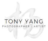 Tony Yang